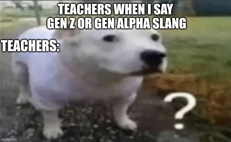 teachers? | TEACHERS WHEN I SAY 
GEN Z OR GEN ALPHA SLANG; TEACHERS: | image tagged in funny meme | made w/ Imgflip meme maker