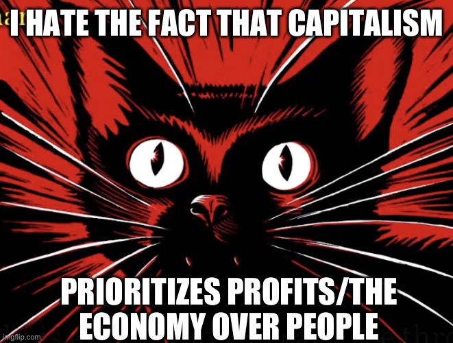 seriously | I HATE THE FACT THAT CAPITALISM; PRIORITIZES PROFITS/THE ECONOMY OVER PEOPLE | image tagged in sabo tabby,capitalism | made w/ Imgflip meme maker