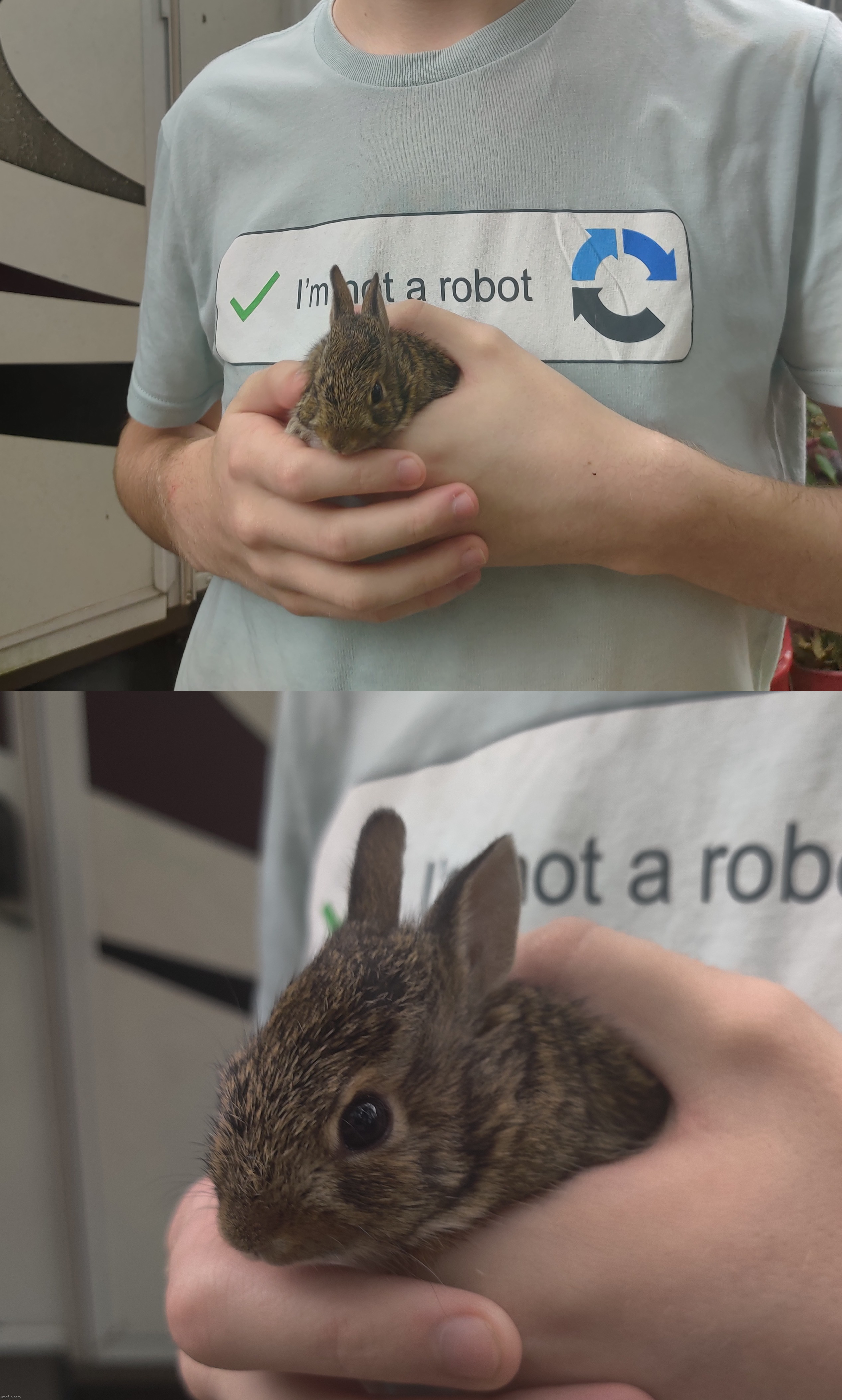 Me holding a bunny my mom found outside | made w/ Imgflip meme maker