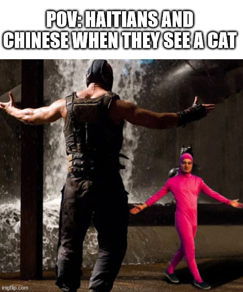 Maybe a teensy bit racist | POV: HAITIANS AND CHINESE WHEN THEY SEE A CAT | image tagged in blank white template,joji boss fight,dark humor | made w/ Imgflip meme maker