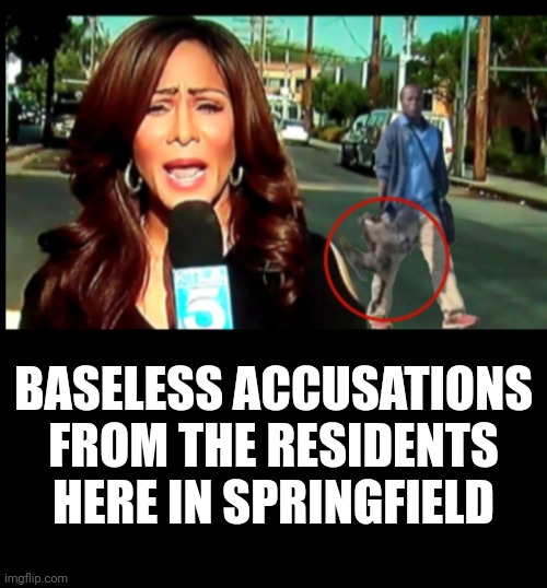 With no qualms lying through their teeth | BASELESS ACCUSATIONS FROM THE RESIDENTS HERE IN SPRINGFIELD | made w/ Imgflip meme maker