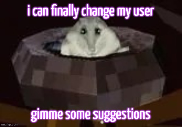 flor | i can finally change my user; gimme some suggestions | image tagged in flor | made w/ Imgflip meme maker