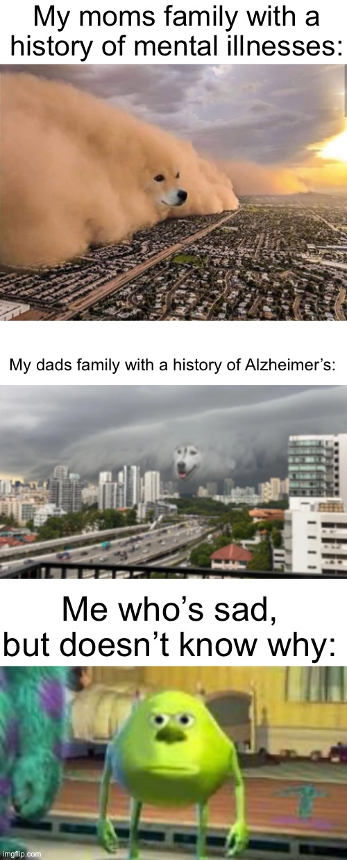 Rip | My moms family with a history of mental illnesses:; My dads family with a history of Alzheimer’s:; Me who’s sad, but doesn’t know why: | image tagged in dust doge storm,mike w | made w/ Imgflip meme maker