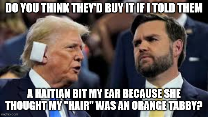 trump and jd vance | DO YOU THINK THEY'D BUY IT IF I TOLD THEM A HAITIAN BIT MY EAR BECAUSE SHE THOUGHT MY "HAIR" WAS AN ORANGE TABBY? | image tagged in trump and jd vance | made w/ Imgflip meme maker