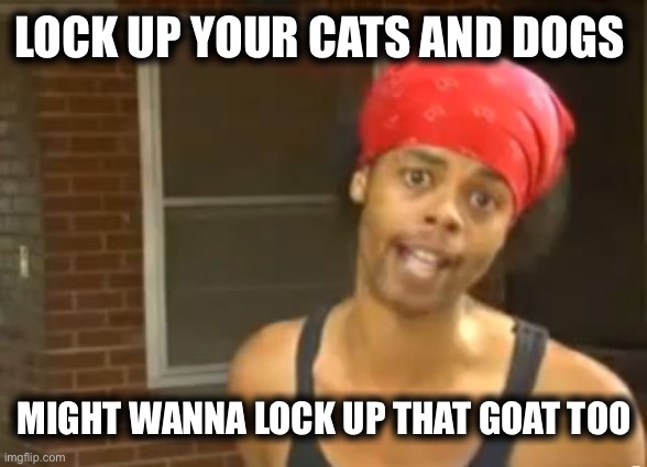 Lock Up Your Daughters | LOCK UP YOUR CATS AND DOGS; MIGHT WANNA LOCK UP THAT GOAT TOO | image tagged in lock up your daughters | made w/ Imgflip meme maker