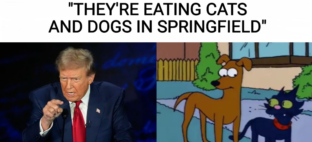 Eating cats and dogs | "THEY'RE EATING CATS AND DOGS IN SPRINGFIELD" | image tagged in trump,cats,dogs,trump meme,funny memes | made w/ Imgflip meme maker