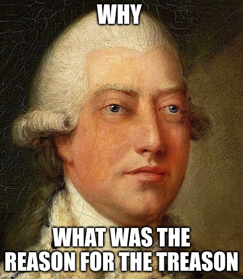 king gorge iii | WHY; WHAT WAS THE REASON FOR THE TREASON | image tagged in king gorge iii | made w/ Imgflip meme maker