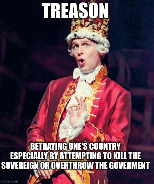 King George from Hamilton | TREASON; BETRAYING ONE'S COUNTRY ESPECIALLY BY ATTEMPTING TO KILL THE SOVEREIGN OR OVERTHROW THE GOVERMENT | image tagged in king george from hamilton | made w/ Imgflip meme maker