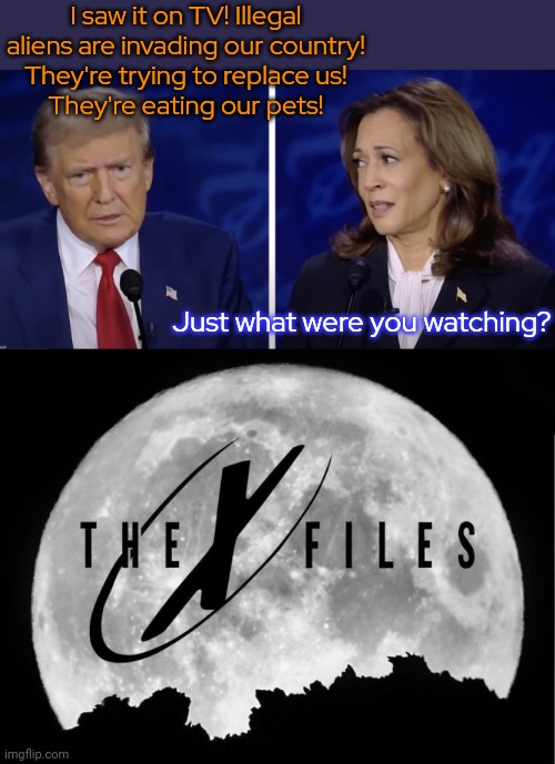 "The truth is out there, but so are lies." - Dana Scully | I saw it on TV! Illegal aliens are invading our country!
They're trying to replace us!
They're eating our pets! Just what were you watching? | image tagged in kamala trump debate,the x-files,science fiction,i want to believe,gullible,trust no one | made w/ Imgflip meme maker