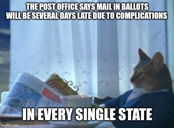 I Should Buy A Boat Cat | THE POST OFFICE SAYS MAIL IN BALLOTS WILL BE SEVERAL DAYS LATE DUE TO COMPLICATIONS; IN EVERY SINGLE STATE | image tagged in memes,i should buy a boat cat | made w/ Imgflip meme maker