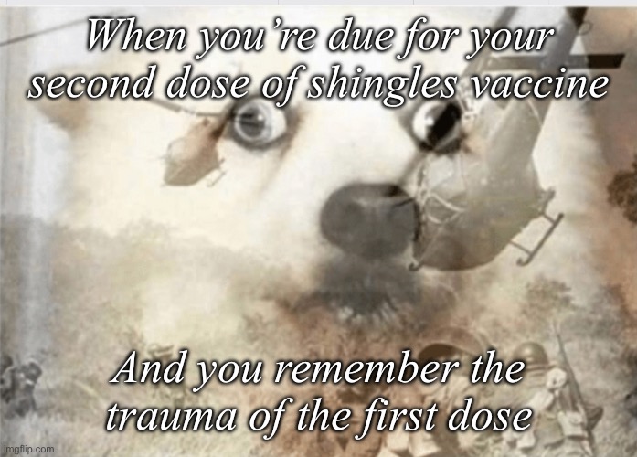 PTSD dog | When you’re due for your second dose of shingles vaccine; And you remember the trauma of the first dose | image tagged in ptsd dog | made w/ Imgflip meme maker