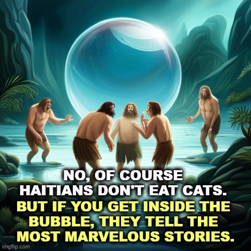 What do you want, a country that works, or a circus? | NO, OF COURSE HAITIANS DON'T EAT CATS. BUT IF YOU GET INSIDE THE 
BUBBLE, THEY TELL THE 
MOST MARVELOUS STORIES. | image tagged in right wing,conservative,bubble,racist,fantasy,cats | made w/ Imgflip meme maker