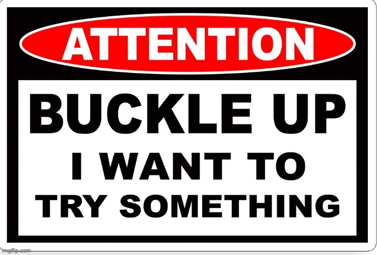 Buckle up I wanna try something | image tagged in buckle up i wanna try something | made w/ Imgflip meme maker