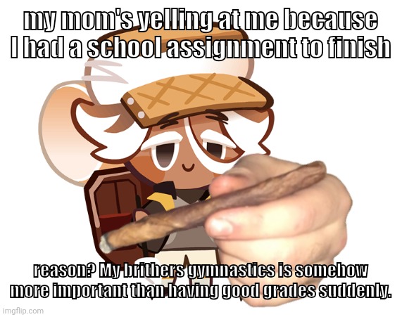 smore cookie with a blunt | my mom's yelling at me because I had a school assignment to finish; reason? My brithers gymnastics is somehow more important than having good grades suddenly. | image tagged in smore cookie with a blunt | made w/ Imgflip meme maker