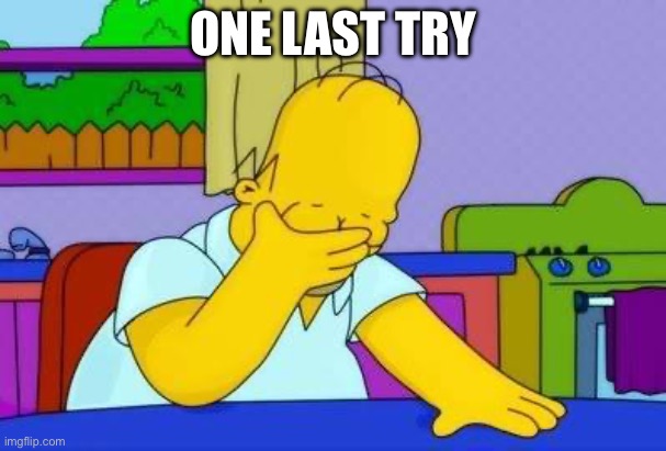 OMG homer | ONE LAST TRY | image tagged in omg homer | made w/ Imgflip meme maker