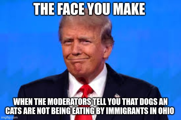 I knew he was dumb but not that dumb | THE FACE YOU MAKE; WHEN THE MODERATORS TELL YOU THAT DOGS AN CATS ARE NOT BEING EATING BY IMMIGRANTS IN OHIO | image tagged in donald trump is an idiot | made w/ Imgflip meme maker