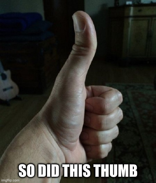 big thumbs up | SO DID THIS THUMB | image tagged in big thumbs up | made w/ Imgflip meme maker