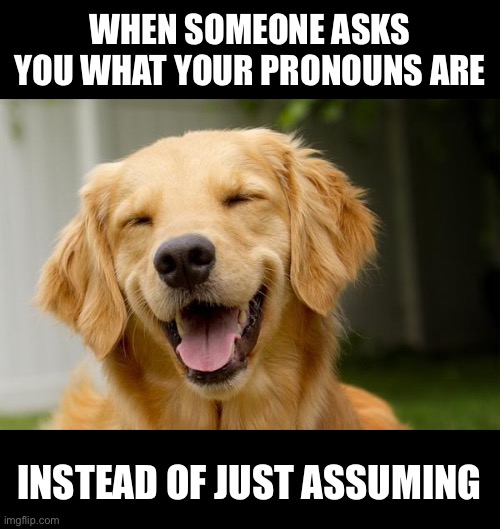 When someone asks for your pronouns | WHEN SOMEONE ASKS YOU WHAT YOUR PRONOUNS ARE; INSTEAD OF JUST ASSUMING | image tagged in happy dog,happy,dog,dogs,lgbtq,pronouns | made w/ Imgflip meme maker