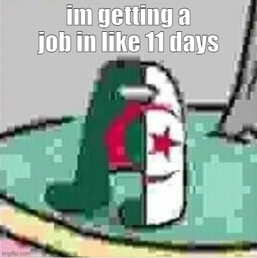 yeah | im getting a job in like 11 days | image tagged in algeriamogus | made w/ Imgflip meme maker