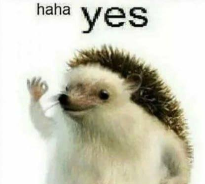 High Quality Haha yes Blank Meme Template