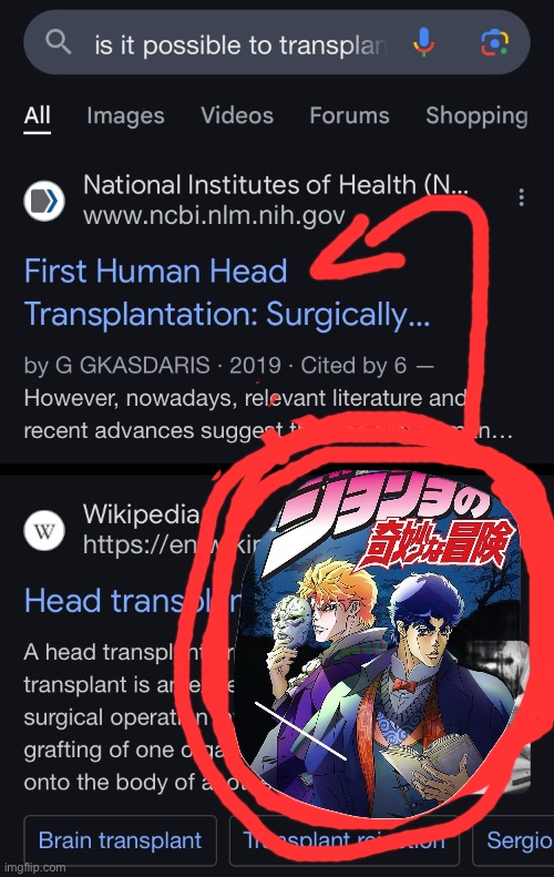 One of two dumb memes I thought up of | image tagged in jojo's bizarre adventure | made w/ Imgflip meme maker