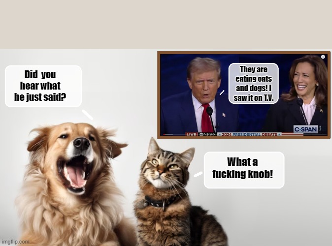 Meanwhile in Springfield, Ohio... | Did  you hear what he just said? They are eating cats and dogs! I saw it on T.V. What a fucking knob! | image tagged in donald trump memes,donald trump is an idiot,donald trump the clown,political humor | made w/ Imgflip meme maker