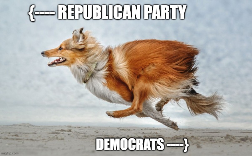 THEY GET IT | {---- REPUBLICAN PARTY; DEMOCRATS ----} | image tagged in political meme,politics lol,politics,donald trump,funny,dogs | made w/ Imgflip meme maker