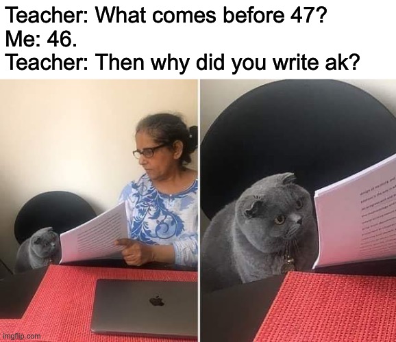 Quiet Kid | Teacher: What comes before 47?
Me: 46.
Teacher: Then why did you write ak? | image tagged in woman showing paper to cat | made w/ Imgflip meme maker