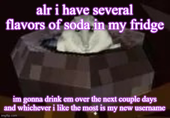 for now i am still hamtper | alr i have several flavors of soda in my fridge; im gonna drink em over the next couple days and whichever i like the most is my new username | image tagged in flor | made w/ Imgflip meme maker