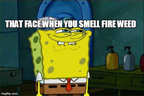 Don't You Squidward | THAT FACE WHEN YOU SMELL FIRE WEED | image tagged in memes,dont you squidward | made w/ Imgflip meme maker