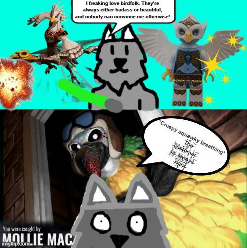 Mollie IS my sleep paralysis denom (along with Gmork, I should make a meme like this for him too) | I freaking love birdfolk. They're always either badass or beautiful, and nobody can convince me otherwise! *Creepy squawky breathing*
T̷̼̔̕ĥ̶͇͚̋ę̷͍͠ ̶̹̋̽ͅc̷̡̼͌u̷͔̅̂s̷͍̕t̴̲͆ö̷̻́m̵̳̊è̶̻̣̓r̵͙͠  ̸̗͚̕i̴͎͑̂s̸̺͖̄ ̴͈̙͘͘ ā̷̗l̷̮͓̈ẘ̵̛̲͓a̵̭͑ỹ̴̬͋s̴̗̒͝  ̵̜̎̆r̵̩͒͆i̶͎̻͋g̵̳̓͝h̴̠͠ţ̶̯̎̀ | made w/ Imgflip meme maker