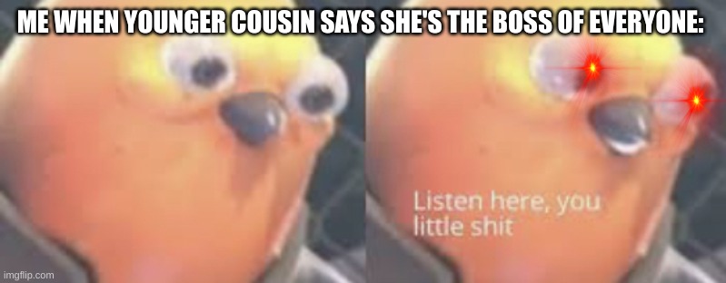 Listen here you little shit bird | ME WHEN YOUNGER COUSIN SAYS SHE'S THE BOSS OF EVERYONE: | image tagged in listen here you little shit bird | made w/ Imgflip meme maker