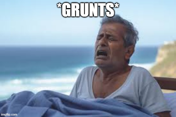 grunt | *GRUNTS* | image tagged in old man | made w/ Imgflip meme maker