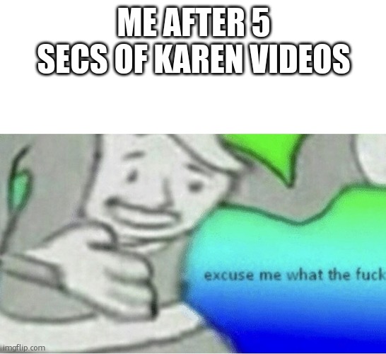 sorry for my other post i ment to put that in the murder drones stream | ME AFTER 5 SECS OF KAREN VIDEOS | image tagged in excuse me wtf blank template | made w/ Imgflip meme maker