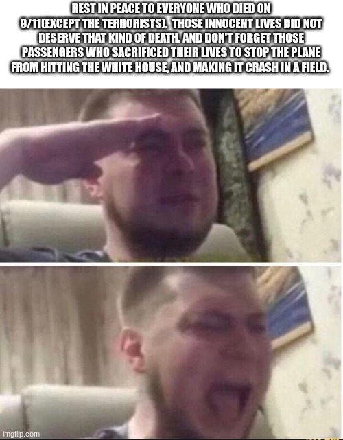 Don't forget them. | REST IN PEACE TO EVERYONE WHO DIED ON 9/11(EXCEPT THE TERRORISTS).  THOSE INNOCENT LIVES DID NOT DESERVE THAT KIND OF DEATH. AND DON'T FORGET THOSE PASSENGERS WHO SACRIFICED THEIR LIVES TO STOP THE PLANE FROM HITTING THE WHITE HOUSE, AND MAKING IT CRASH IN A FIELD. | image tagged in crying salute,rest in peace | made w/ Imgflip meme maker