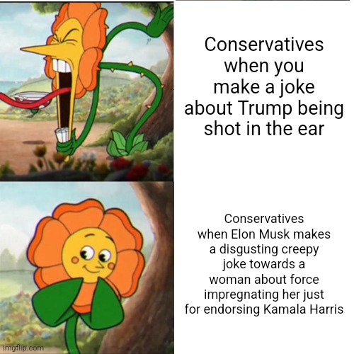 Conservatives find it funny to joke about raping women just for supporting Kamala Harris | Conservatives when you make a joke about Trump being shot in the ear; Conservatives when Elon Musk makes a disgusting creepy joke towards a woman about force impregnating her just for endorsing Kamala Harris | image tagged in cuphead flower,elon musk,taylor swift,donald trump,twitter,misogyny | made w/ Imgflip meme maker