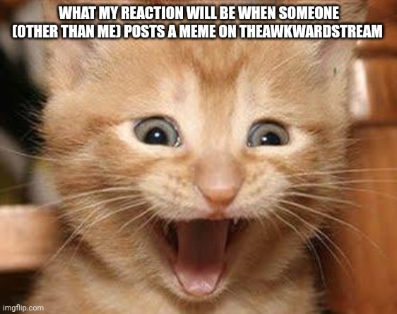 Read the tags | WHAT MY REACTION WILL BE WHEN SOMEONE (OTHER THAN ME) POSTS A MEME ON THEAWKWARDSTREAM | image tagged in memes,excited cat,bill cipher,never gonna give you up,never gonna let you down,rickrolled | made w/ Imgflip meme maker