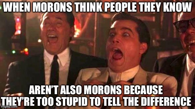 They Actually Think They’re Smart | WHEN MORONS THINK PEOPLE THEY KNOW; AREN’T ALSO MORONS BECAUSE THEY’RE TOO STUPID TO TELL THE DIFFERENCE | image tagged in goodfellas laughing scene henry hill,lol | made w/ Imgflip meme maker