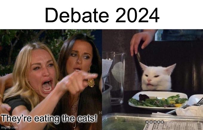 Woman Yelling At Cat | Debate 2024; They’re eating the cats! ….. | image tagged in memes,woman yelling at cat,debate,presidential debate,2024,funny | made w/ Imgflip meme maker