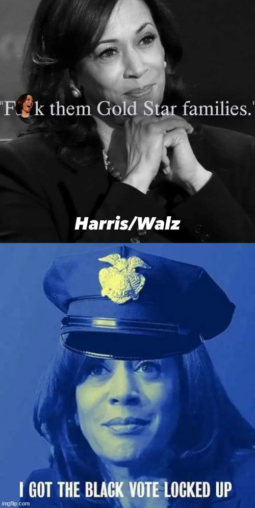 Kamala hates America | image tagged in kamala harris,liar,cheater,hates america | made w/ Imgflip meme maker