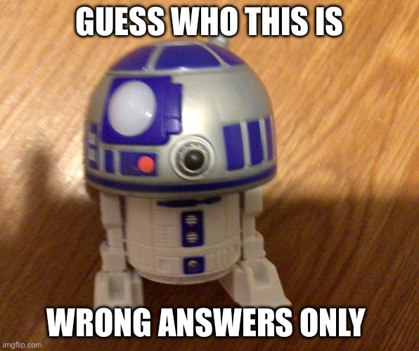 round 2 | GUESS WHO THIS IS; WRONG ANSWERS ONLY | image tagged in memes,funny | made w/ Imgflip meme maker