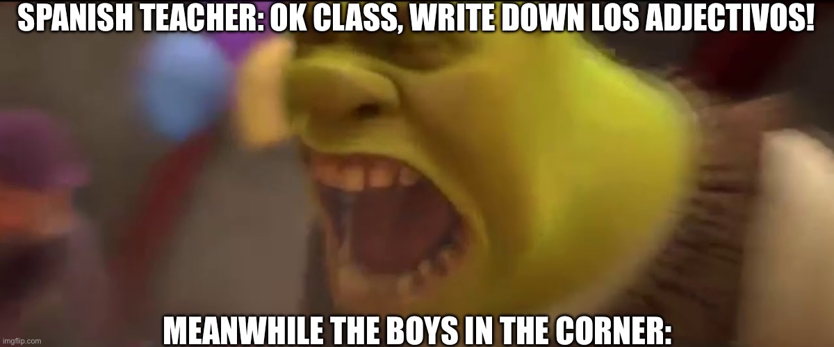 But fr brothers why | SPANISH TEACHER: OK CLASS, WRITE DOWN LOS ADJECTIVOS! MEANWHILE THE BOYS IN THE CORNER: | image tagged in shrek screaming,spanish class,school,memes | made w/ Imgflip meme maker