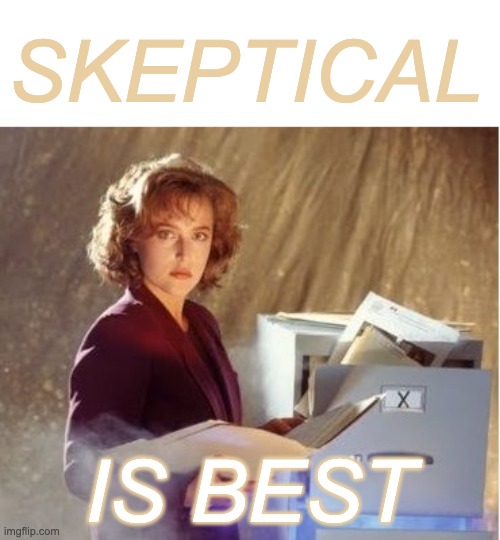 SCULLY SIDE EYE X-FILES | SKEPTICAL IS BEST | image tagged in scully side eye x-files | made w/ Imgflip meme maker