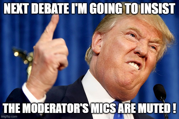 Moderator's mics should be muted when candidates are talking | NEXT DEBATE I'M GOING TO INSIST; THE MODERATOR'S MICS ARE MUTED ! | image tagged in donald trump,debate | made w/ Imgflip meme maker