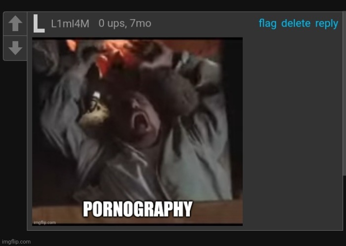 Pornography Blank Meme Template