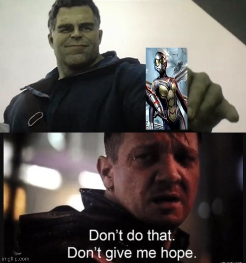 image tagged in hulk taco guy,hawkeye ''don't give me hope'' | made w/ Imgflip meme maker