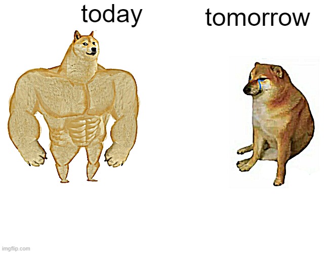 today vs. tomorrow | today; tomorrow | image tagged in memes | made w/ Imgflip meme maker