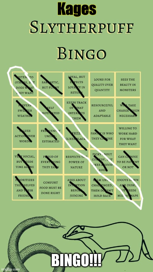 BINGO | BINGO!!! | image tagged in kages slytherpuff bingo | made w/ Imgflip meme maker