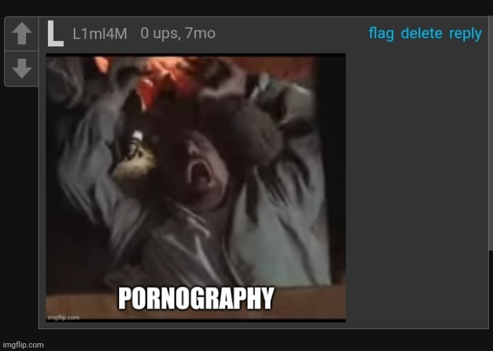 Pornography | image tagged in pornography | made w/ Imgflip meme maker