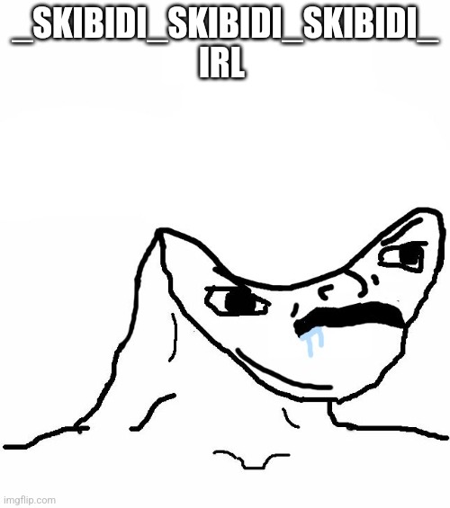 Angry Brainlet  | _SKIBIDI_SKIBIDI_SKIBIDI_ IRL | image tagged in angry brainlet | made w/ Imgflip meme maker